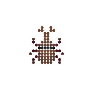 カブトムシ