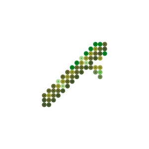 竹