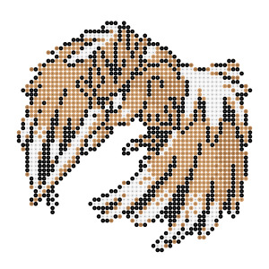 オニドリル