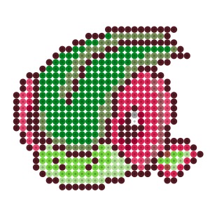 フライゴン