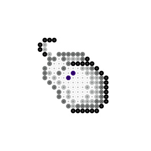 マウス