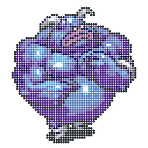 スペッキオ