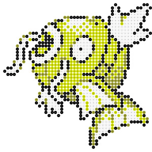 コイキング