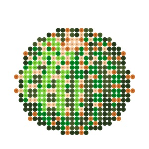カクタスサボテン