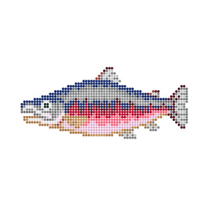 サケ