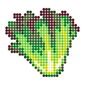 リーフレタス