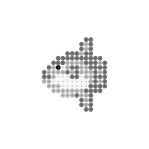 マンボウ