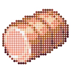 ハム