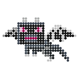 エンダードラゴン
