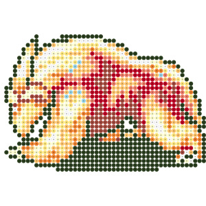 ドロクイR