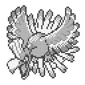 ホウオウ
