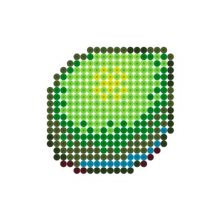 ライム