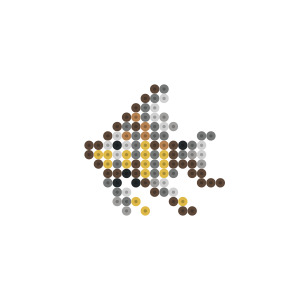 エンゼルフィッシュ