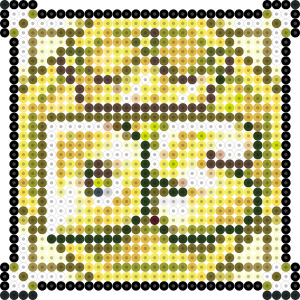 DS
