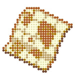 宝の地図