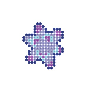 おとめざのかけら