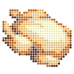 七面鳥