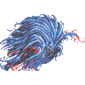 ゼロムス