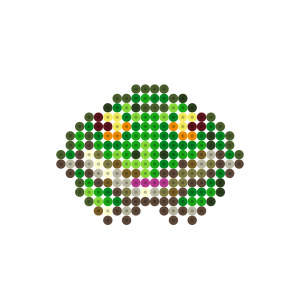 カエル