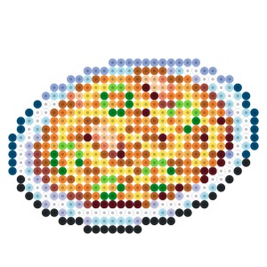 スパゲティ
