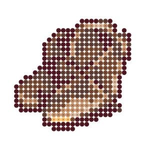 干し肉