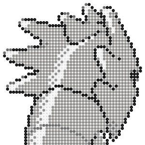 サナギラス