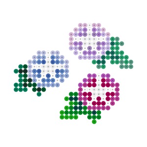 朝顔