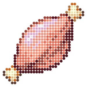 大きい獣肉