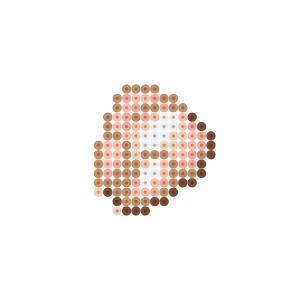 生の鶏肉