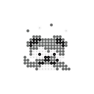 コアラ