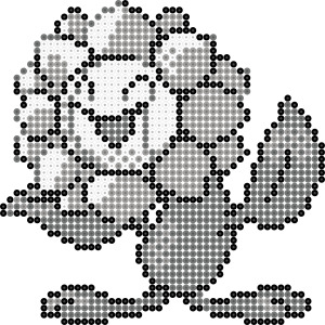 キマワリ