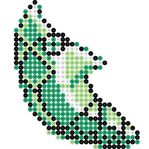 トランセル