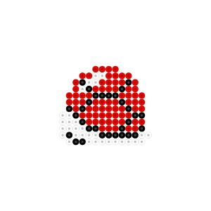アカ甲羅