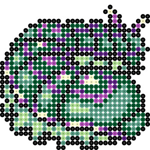 クリセイルス
