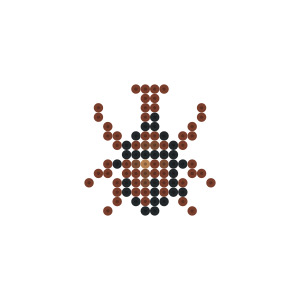 カブトムシ