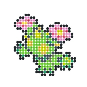 マラカッチ