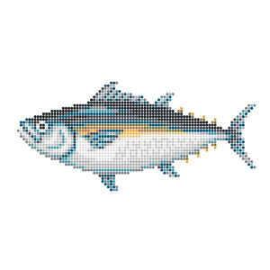 マグロ
