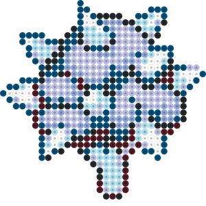 スパイクブロッコリー