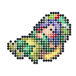 ホーリーオーダー(女)