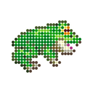 カエル