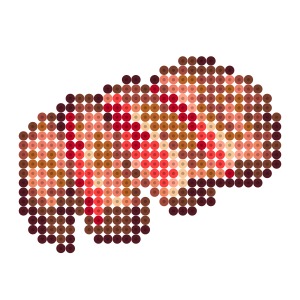 霜降り肉