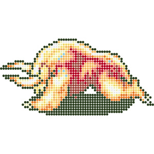 ドロクイR