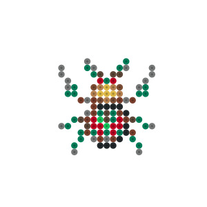 ニジイロクワガタ
