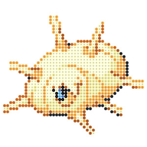 カラサリス
