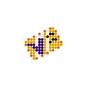 VIPカード
