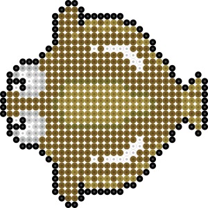 オオヒラメ