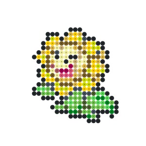 キマワリ