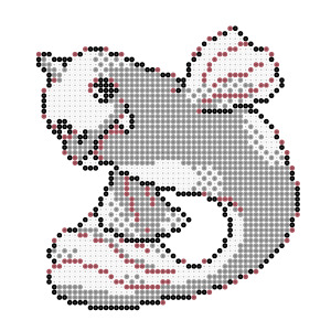 ジュゴン