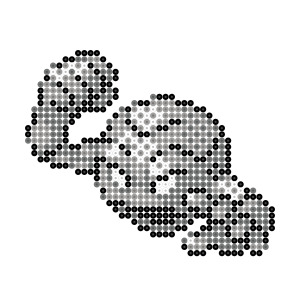 イシツブテ
