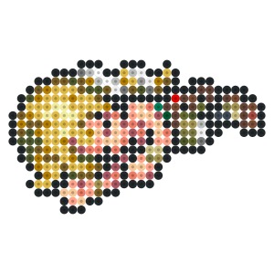 ヴァージニア・ナイツ